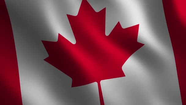 Canada flag waving 3d. Abstract background. Loop animation. Motion graphics - Footage, Video