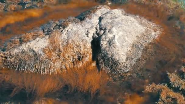 Hermosas piedras grandes viejas en el mar claro envuelto en varias algas
 - Metraje, vídeo