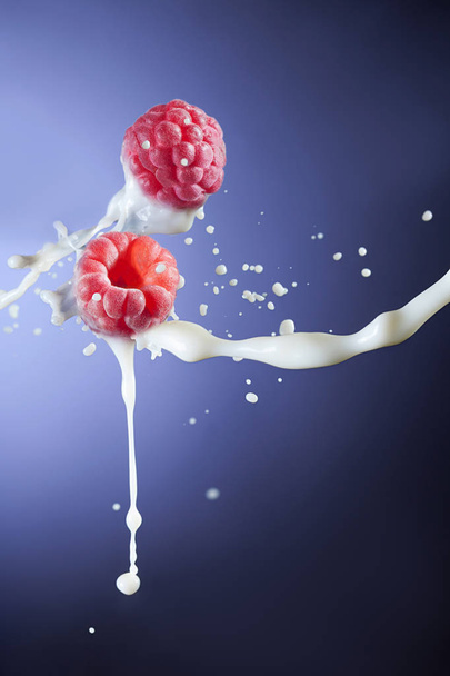 raspberry with milk splash on blue background - Foto, afbeelding
