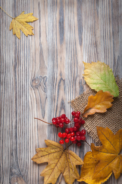top view of colorful autumn leaves and berries on wooden floor  - Foto, Bild