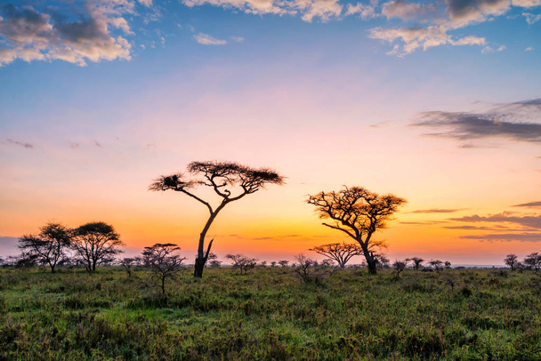 Υπέροχο ηλιοβασίλεμα με δραματικό ουρανό στην αφρικανική σαβάνα - Φωτογραφία, εικόνα