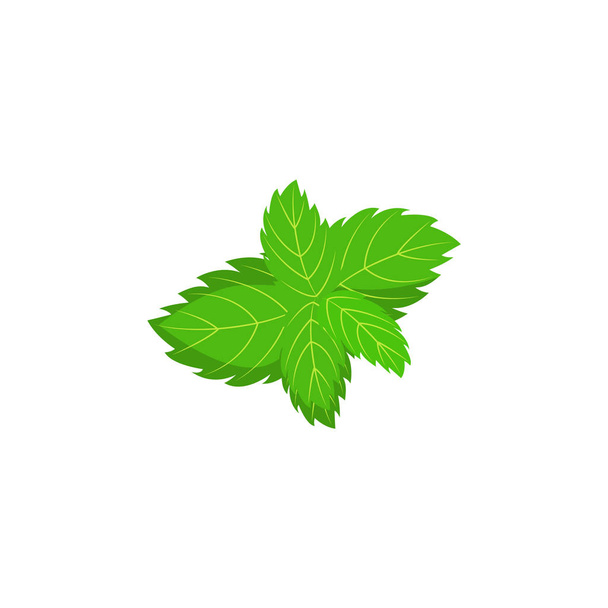 生ミント ハーブ グリーンの葉のアイコン。赤い健康食品, - ベクター画像