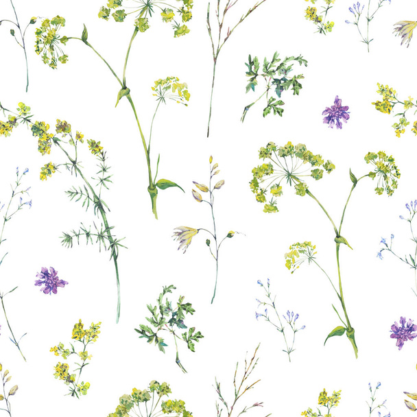 Watercolor summer seamless pattern of yellow wildflowers - Foto, Imagen