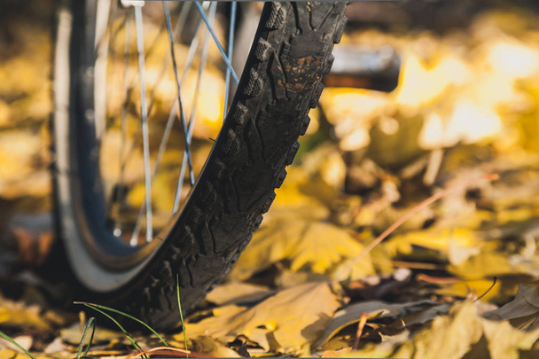 Bicycle Wheel stands on the fallen leaves of autumn trees. Side vie - Photo, image
