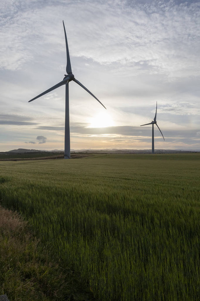 Вітрових турбін в полі на заході сонця в Fife, Шотландія, поновлювані джерела енергії - Фото, зображення