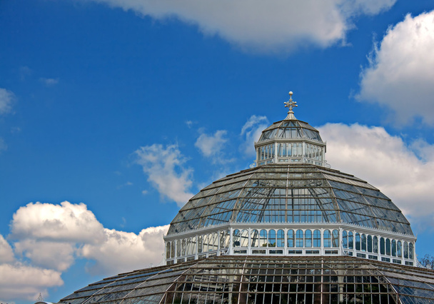 Palm house in Sefton Park, Liverpool - Foto, immagini