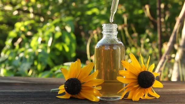 Essence of coneflowers flowers on table in beautiful glass Bottle - Footage, Video