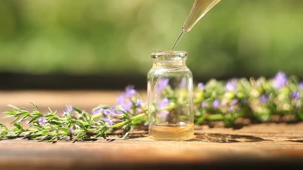 hyssop essential oil in  beautiful bottle on table - Footage, Video