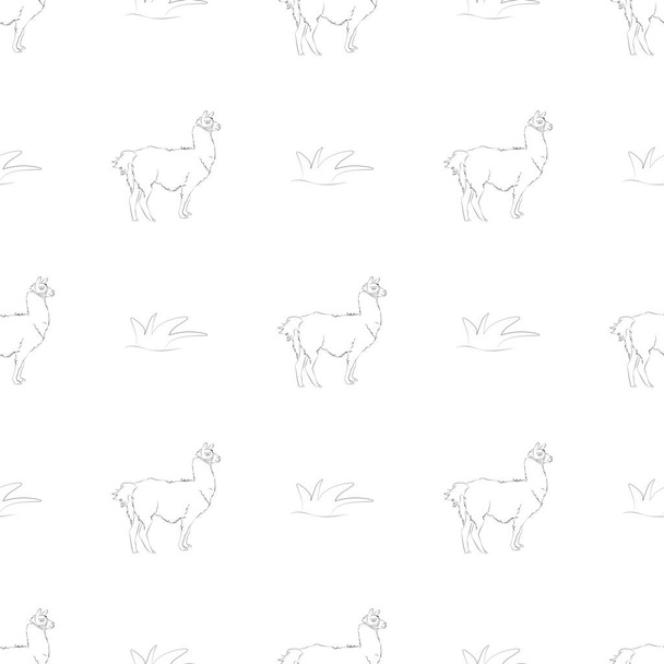 Lama seamless pattern. A beautiful realistic hand drawn sketch of alpaca or lama. Concept for background or print - Wektor, obraz