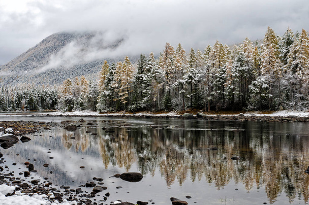 Mountain lake Froliha, pijnboom en stenen met sneeuw op mirror lake - Foto, afbeelding