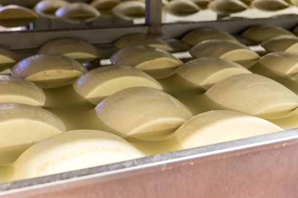 Αλάτισμα το τυρί παρμεζάνα στο εργοστάσιο στην Ιταλία - Φωτογραφία, εικόνα