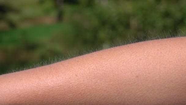 CLOSE UP MACRO DEPTH OF FIELD: Detail of skin and hair with goose bumps on female's forearm. Light hair on person's arm raised up due to goosebumps. Bright Caucasian skin getting chills. - Footage, Video