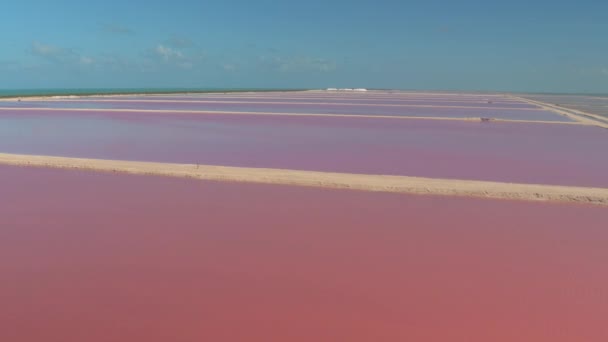 航空写真: ピンクの海の水で満たされた豪華な塩の蒸発の池の上を飛んでください。地平線上の青い海を見下ろす製塩所。ユカタン半島の端にある風光明媚な風景を見ている少女 - 映像、動画