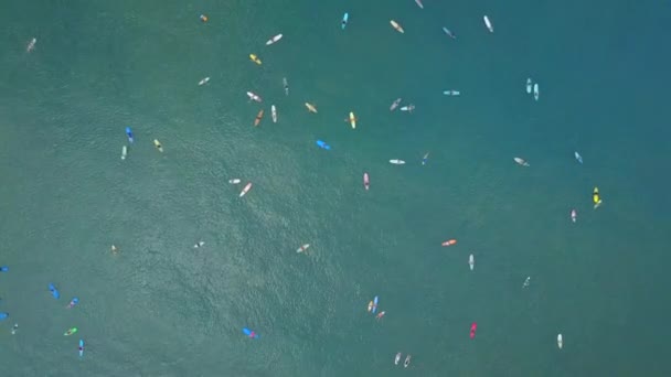AERIAL TOP DOWN: Beginners surfers learning to surf with big surfboards and longboards at sunny Canggu surfspot. Crowds of surfers in the ocean catching breaking waves in dreamy sunny Bali island - Footage, Video
