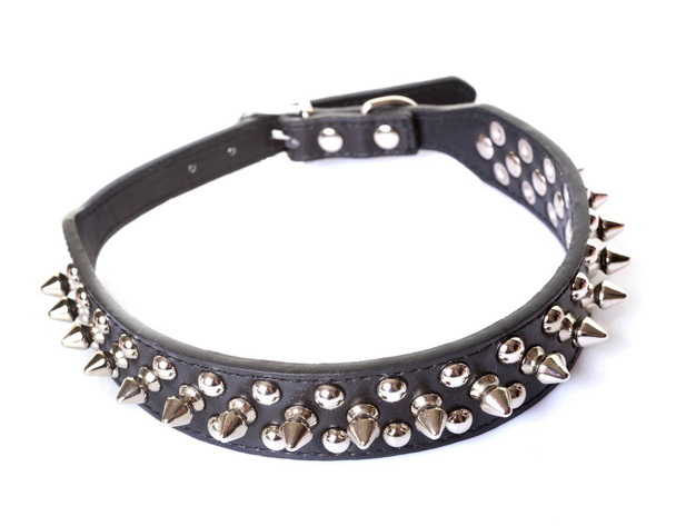 Leather collar with metal spikes in studio - Photo, Image