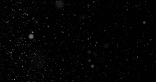 Lumisade mustalla pohjalla
 - Valokuva, kuva