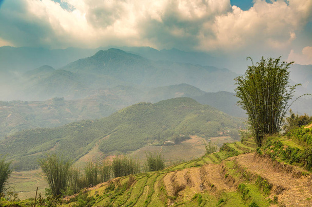 Panoramic view of Terraced rice field in Sapa, Lao Cai, Vietnam in a summer day - Foto, Imagem