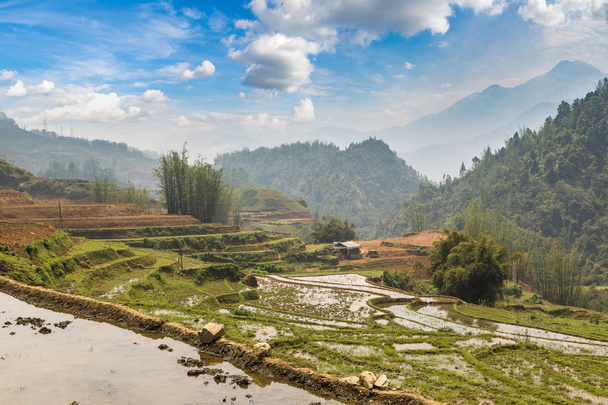 Panoramic view of Terraced rice field in Sapa, Lao Cai, Vietnam in a summer day - Photo, image