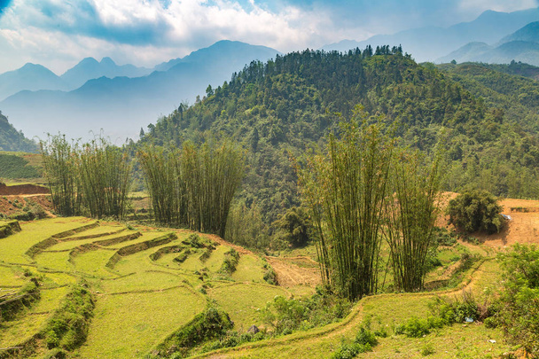Panoramic view of Terraced rice field in Sapa, Lao Cai, Vietnam in a summer day - 写真・画像