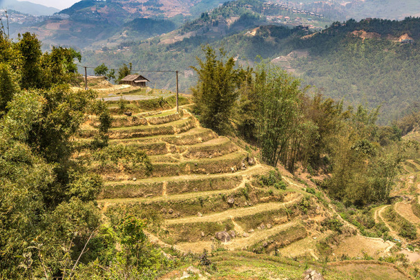 Panoramic view of Terraced rice field in Sapa, Lao Cai, Vietnam in a summer day - Foto, Bild