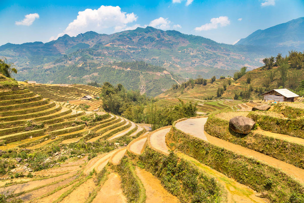 Panoramic view of Terraced rice field in Sapa, Lao Cai, Vietnam in a summer day - Fotoğraf, Görsel