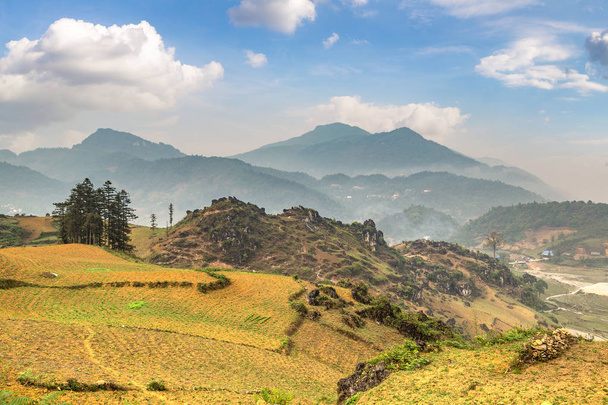 Panoramic view of Terraced rice field in Sapa, Lao Cai, Vietnam in a summer day - 写真・画像