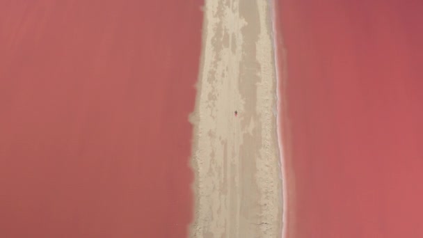 AEREO Volare sopra le giovani donne camminando sulla costa sabbiosa messicana lungo splendidi laghi rosa pieni di acqua di mare. Splendidi stagni di sale di Las Coloradas risplendono in tonalità arancioni e rosse nel soleggiato Messico
 - Filmati, video