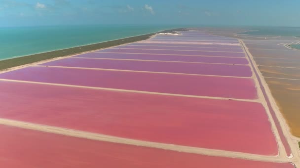 Luftflug über dem Golf von Mexiko entlang der malerischen Küste mit Blick auf die herrlichen rosa Salzteiche auf der einen Seite und atemberaubenden türkisfarbenen Ozean auf der anderen. Las coloradas bunte Lagunen - Filmmaterial, Video
