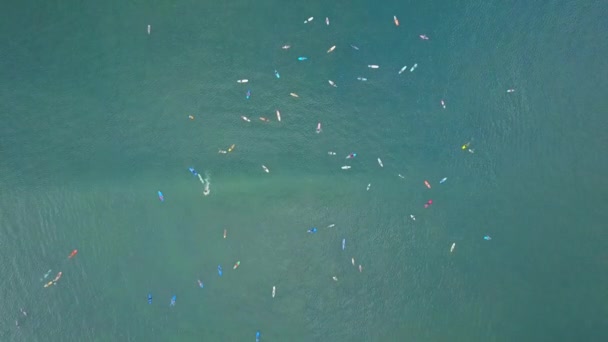 AERIAL TOP DOWN: Beginners surfers learning to surf with big surfboards and longboards at sunny Canggu surfspot. Crowds of surfers in the ocean catching breaking waves in dreamy sunny Bali island - Footage, Video