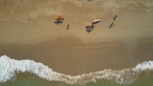 Légi felülről-lefelé Lens Flare: Szörfösök séta a tengerparton, és szörfözik longboards napos Bali, Indonézia. Kezdők szörfösök szállító nagy szörfdeszkák egzotikus homokos strandja mentén a forró nyári napon - Felvétel, videó