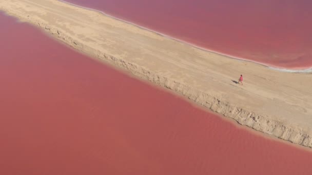 航空写真: 見事な日当たりの良いメキシコで豪華なピンクの色合いで輝くラスベガス Coloradas の塩の蒸発の池の上を飛んでください。バカンス カラフルなサリナスの景色を楽しみながら砂丘の上を歩く少女 - 映像、動画