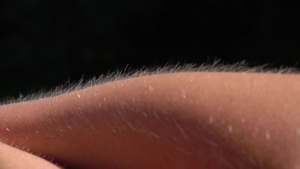 Detailní záběr makro Dof: Detail kůže a vlasy s husí kůží na předloktí samice izolované proti černému pozadí. Světle vlasy na něčí paži zvednutou. Světlé Kavkazský kůži jak goosebump zimnice - Záběry, video