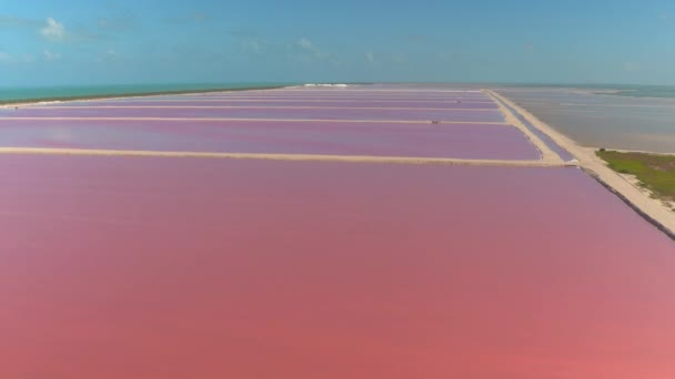 航空: ラスベガス Coloradas の息をのむピンク湖の上を飛んでください。地平線に広がる壮大な塩の池。メキシコ湾ユカタン半島でカラフルな塩鍋の絵のような風景 - 映像、動画