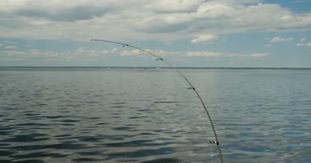 pesca curvo filatura sullo sfondo del mare
 - Filmati, video