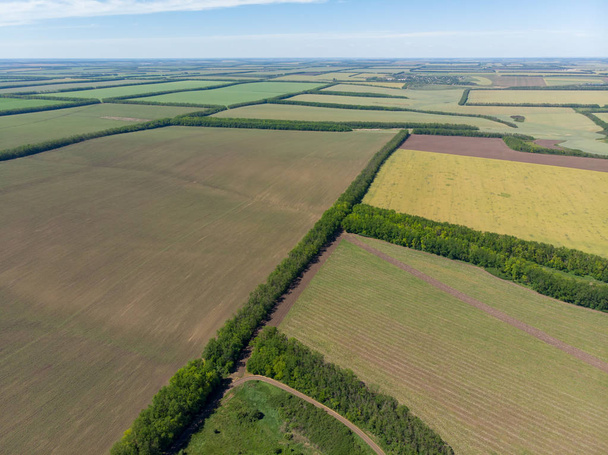 収穫前に緑と黄色のフィールド。無人機による空中平面図 - 写真・画像