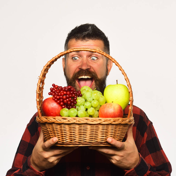 Man with beard holds basket with fruit on white background - Foto, imagen