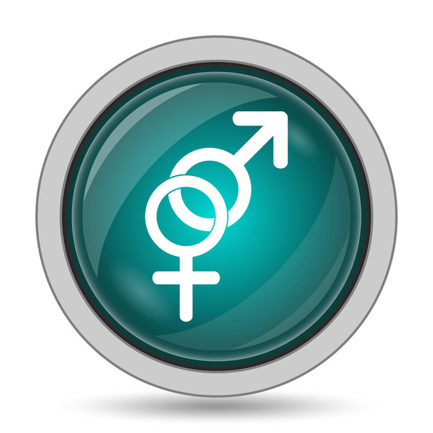 Ikona seksu, przycisk witryny na białym tle - Zdjęcie, obraz