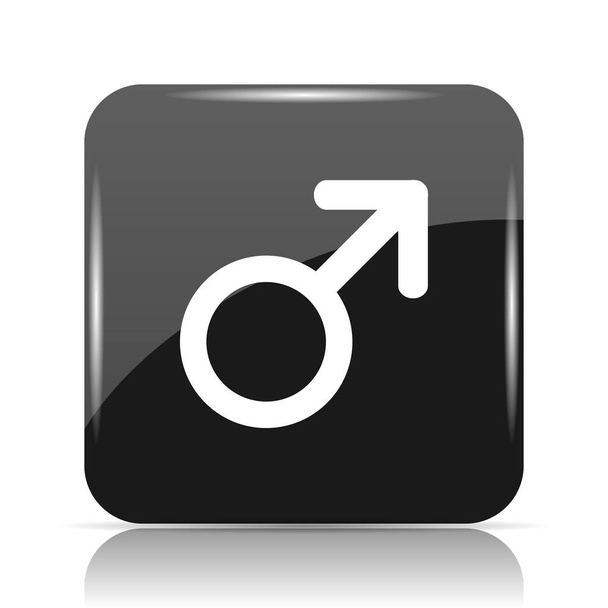 Male sign icon. Internet button on white background - Photo, Image