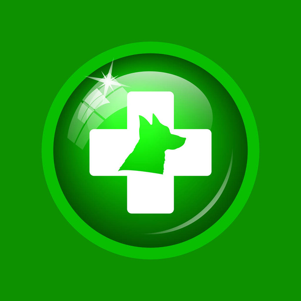 Veterinary icon. Internet button on green background. - Photo, Image