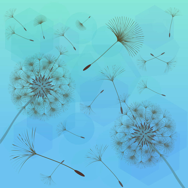 Seamless background from a dandelion. - Vector, Image