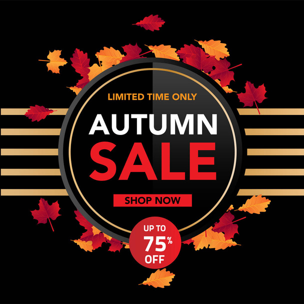 Autumn sale banner template with leaves, fall leaves for shopping sale. banner design. Poster, card, label, web banner. Vector illustration - Vector, Image