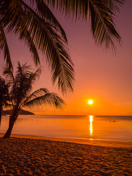 Belle plage tropicale mer et océan avec cocotier au lever du soleil pour les voyages et les vacances
 - Photo, image
