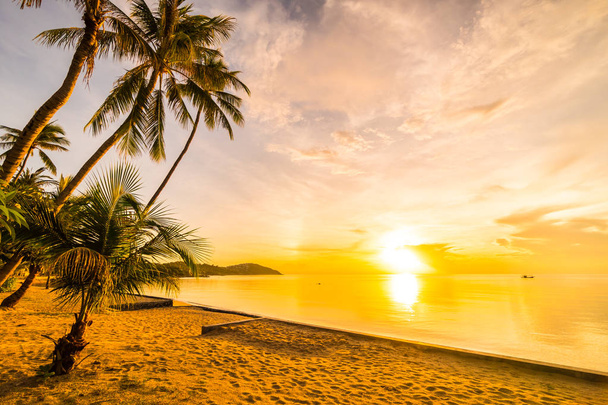 Auringonlaskun aikaan trooppisella paratiisisaaren rannalla ja merellä kookospalmulla loma ja loma
 - Valokuva, kuva