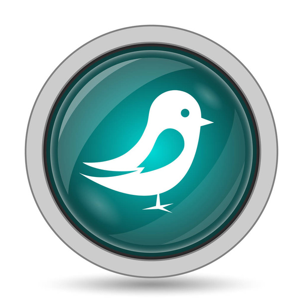 Εικονίδιο πτηνών, ιστοσελίδα κουμπί σε λευκό φόντο - Φωτογραφία, εικόνα
