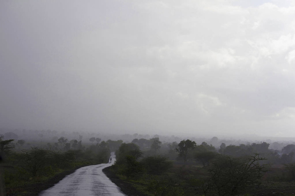 Camino solitario y húmedo durante el monzón en Supa, estado de Maharashtra, India
 - Foto, imagen