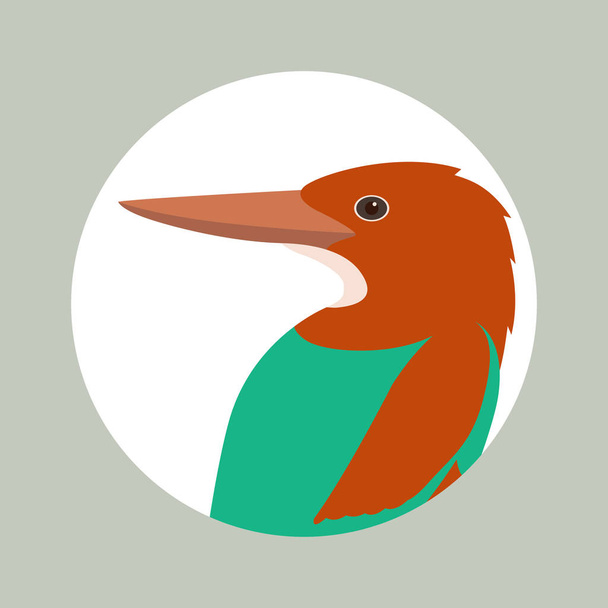 King fisher ptak wektor ilustracja płaski profil  - Wektor, obraz