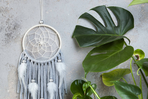 Gray beige dream catcher in interior on gray textured background. Green plants and copy space for text. - Photo, Image
