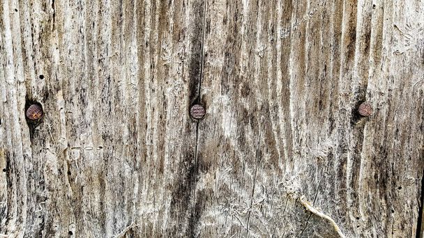 three nails on an old wooden door, image of a - Photo, image