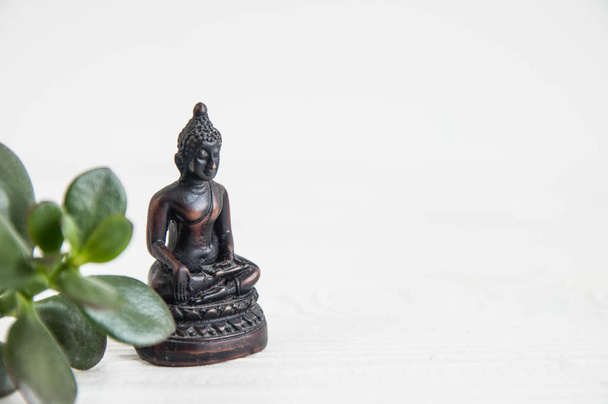 Buddha statue with green leaves. Concept of harmony, balance and meditation, spa, massage, relax - Fotó, kép