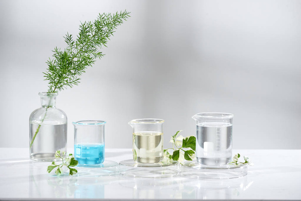 laboratory experiment and research with leaf, oil and ingredient extract for natural beauty and organic skincare product the blank bottle for label ,bio science concept. alternative medicine. spa. - Valokuva, kuva